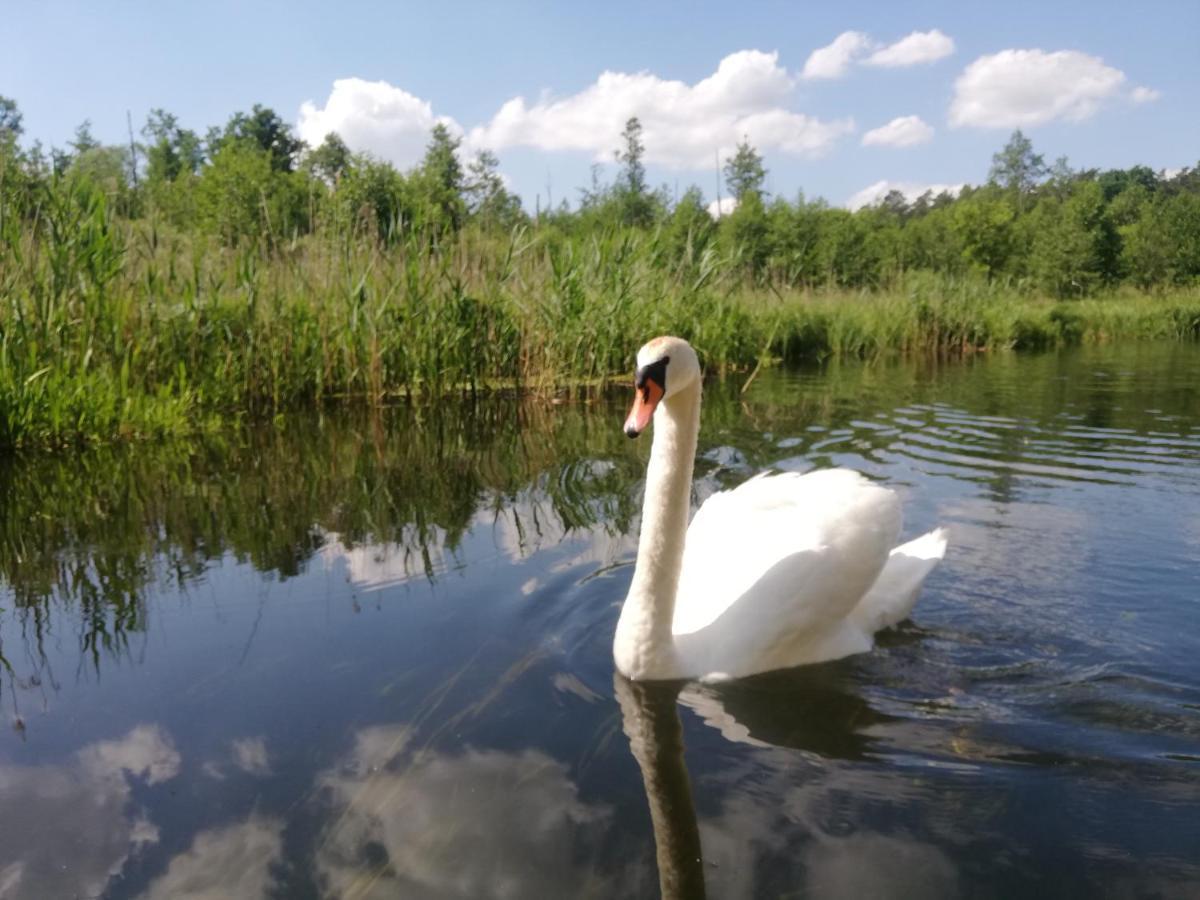 Apartamenty Na Szlaku Giżycko Εξωτερικό φωτογραφία